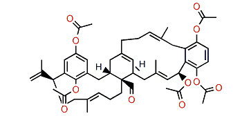 Longithorol B pentaacetate